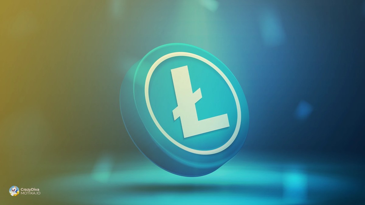 Употреба на Litecoin