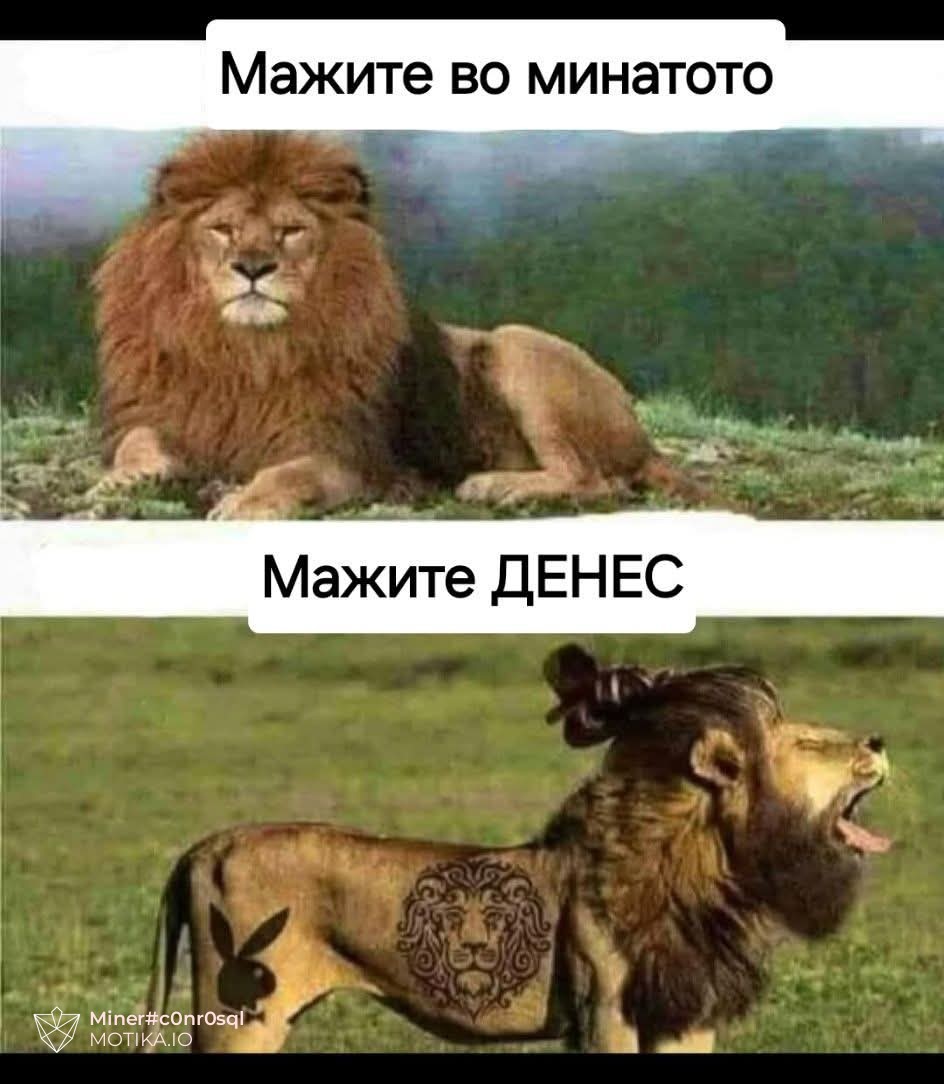 Мажите денес!