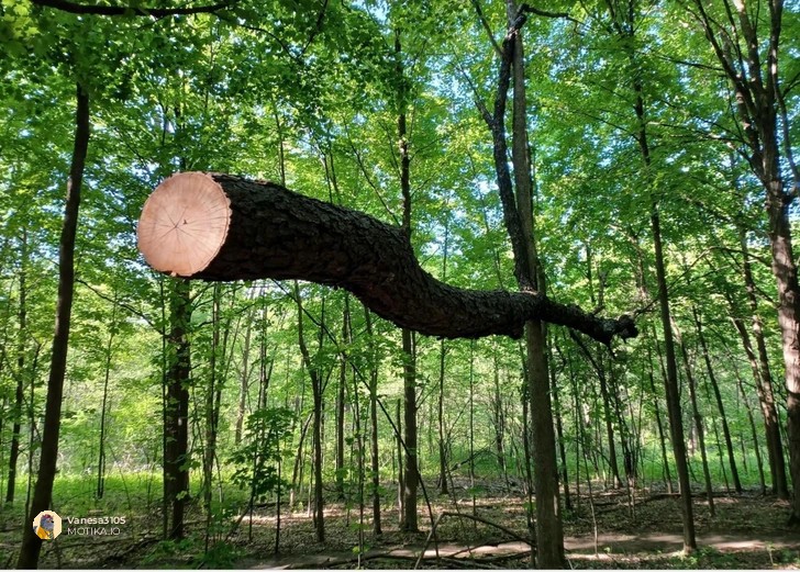 7. 