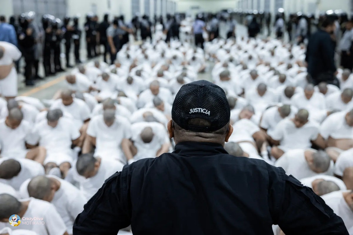 Поддршка за депортациите