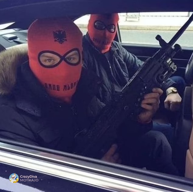 Што покажува статистиката?