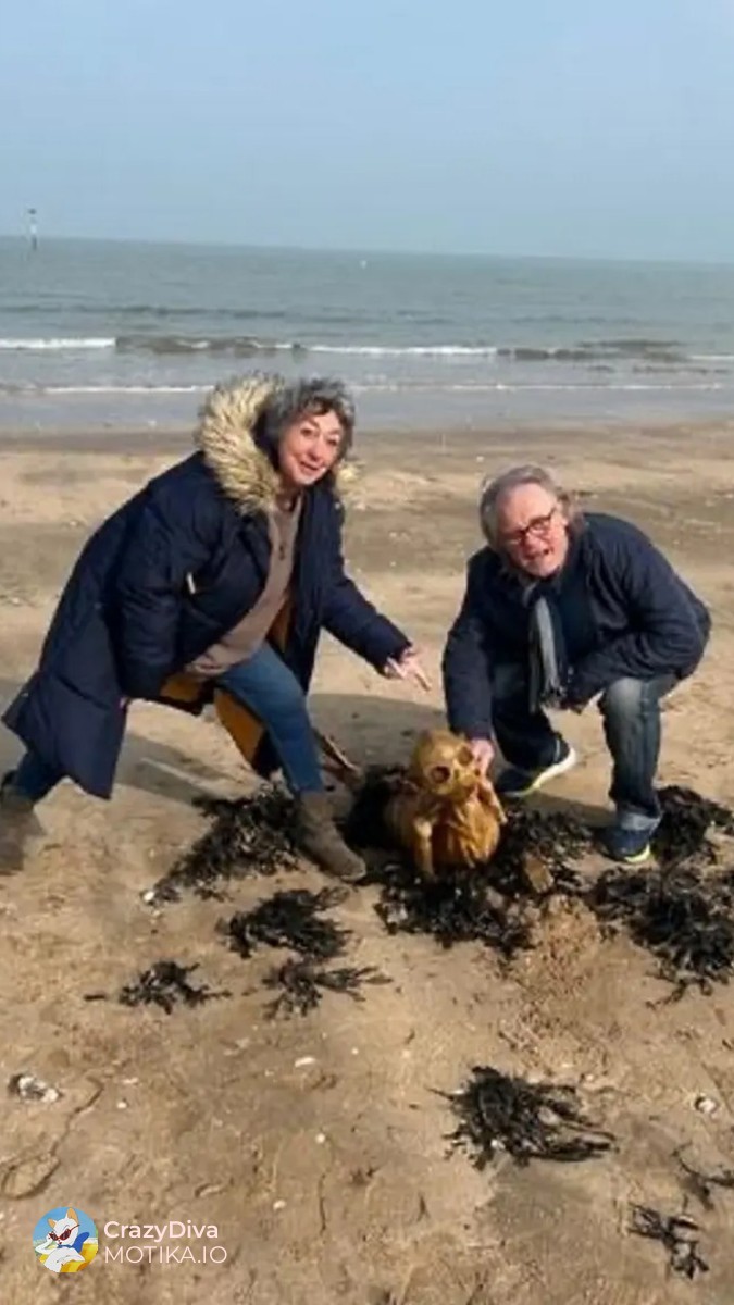 Неочекувано откритие на плажата во Маргејт