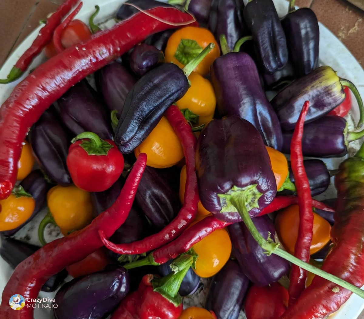 Изберете мали, но продуктивни верзии на зеленчук