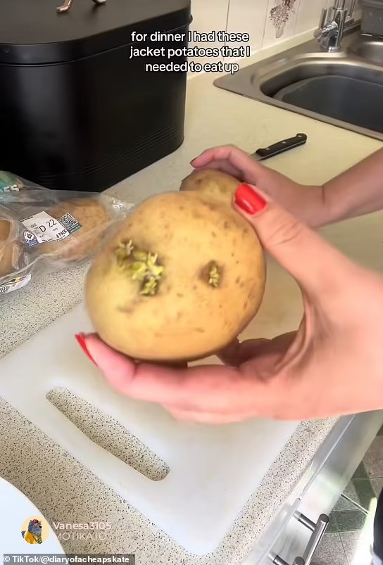 Поделени мислења