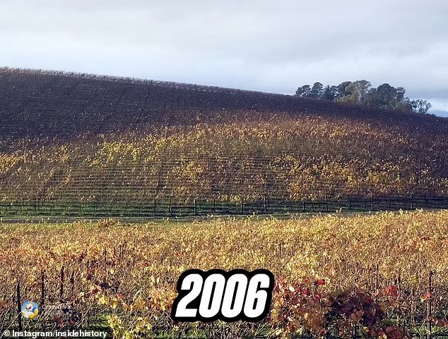 2006