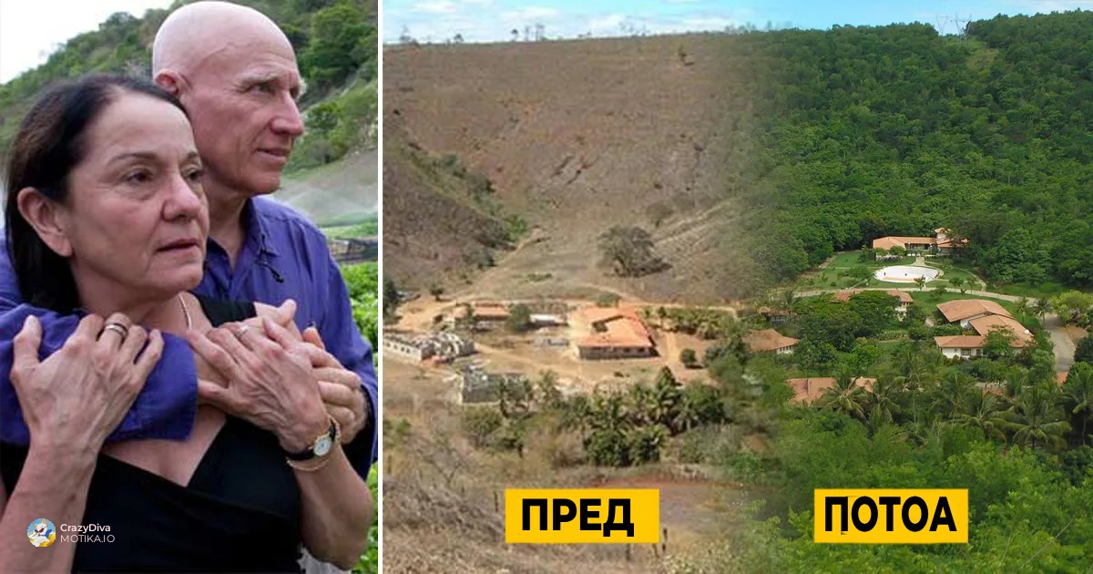 „Ги сметаа за луди, но ја обновија природата и станаа пример за целиот свет“ - Како еден брачен пар успеа да обнови огромна шума во Бразил
