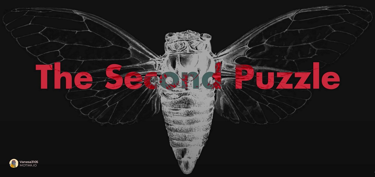 Филозофијата на Cicada 3301: Слобода, личност и образование