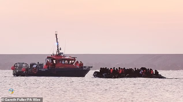 Одговорот на властите и потенцијалните безбедносни дупки