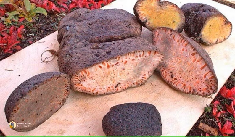 Копален