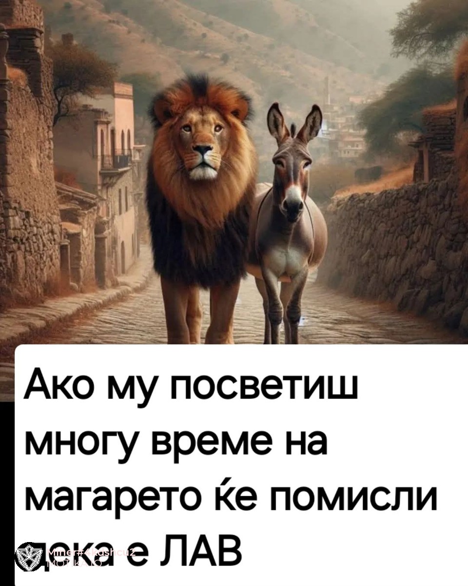 Ако му посветиш многу време на магаре