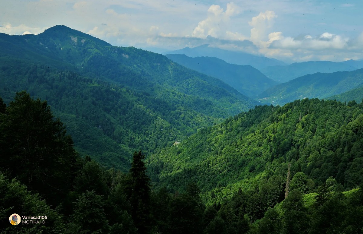 Шумите на Турција