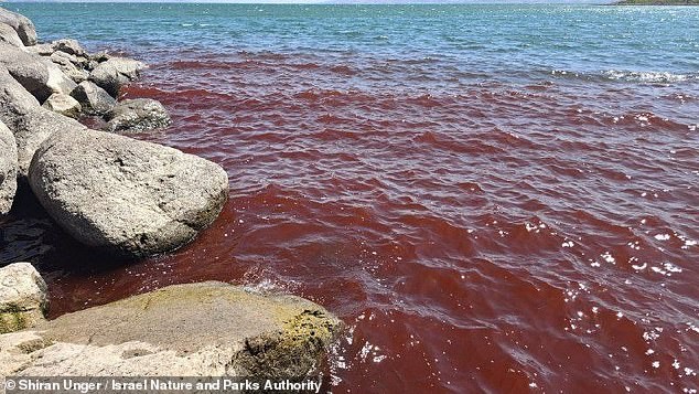 Галилејското Море се обои во крваво црвено и разбуди стравови од библиска апокалипса