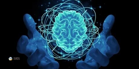 Мозокот: Помоќен од компјутер и способен за стотици милијарди врски