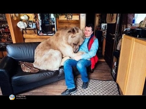 Невообичаени домашни миленици низ целиот свет