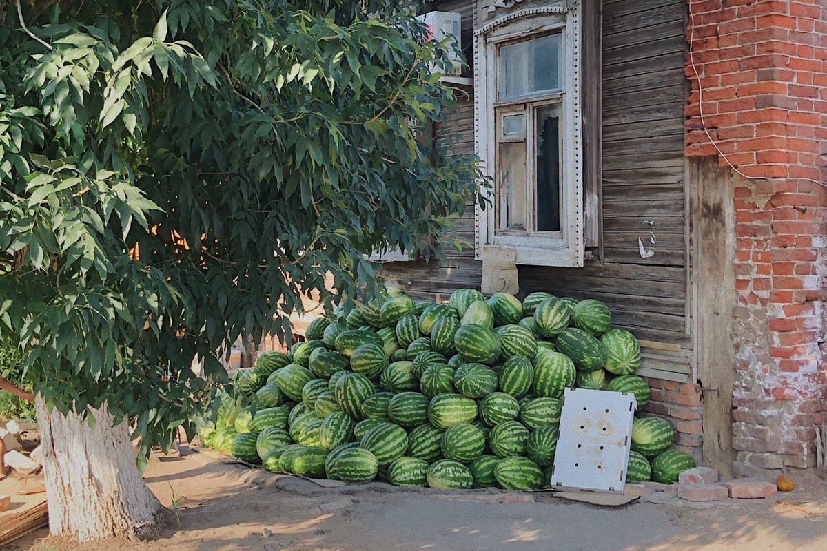 Сезоната е започната: Сега е моментот да изберете лубеница по сите правила и да уживате во вистинскиот вкус на летото!