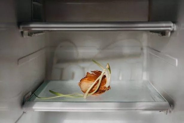 Фрижидерот е најлошо место: Кромидот не сака ладно и мокро