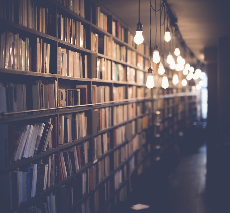 Кој може да добие? Проверете дали вашата книга е пиратски преземена од LibGen – авторот Кајл Чајка може да добие 12.000 долари