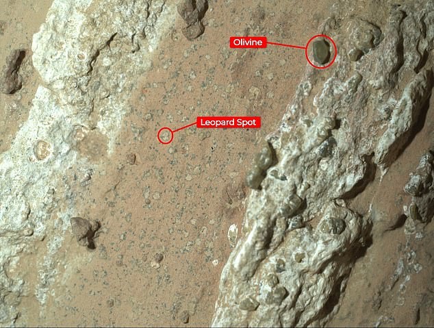 La geología que respalda la hipótesis: venas de calcio y hematita señalan un pasado acuático