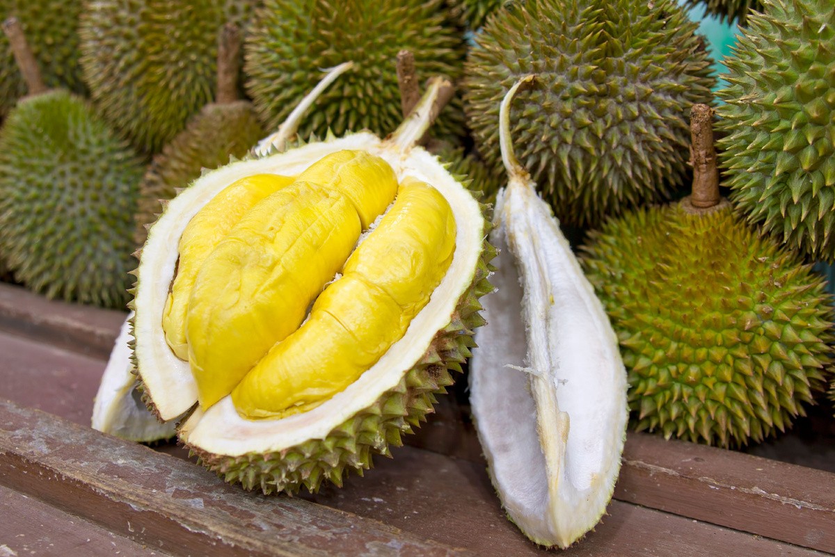Qu'est-ce que le durian ?