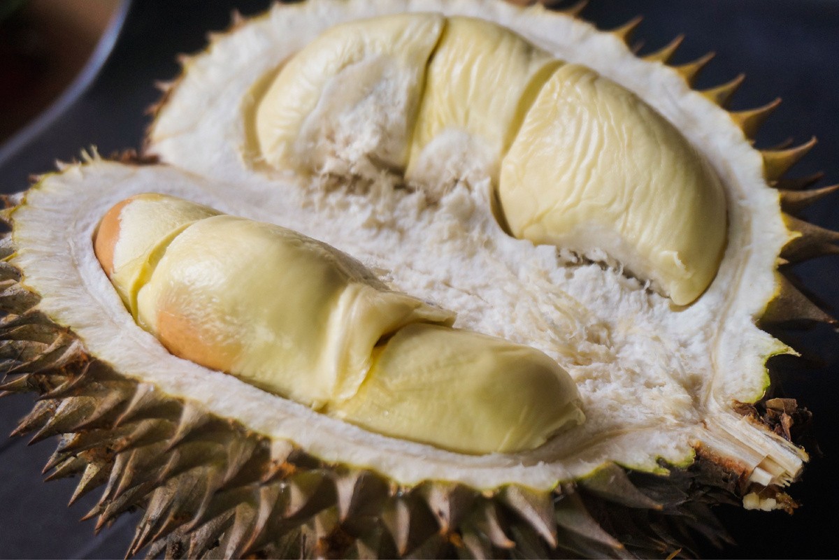 Cautions, Culture, and Cousins: From Bans to Jackfruit