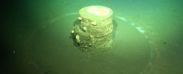 The Halo Clue: Alkaline Brucite Rings and a Fragmented Waste Record