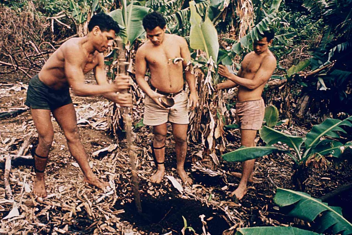La esperanza y el escape fallido