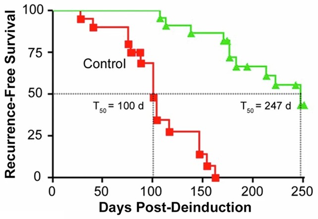 Des cellules dormantes: une cible longtemps ignorée