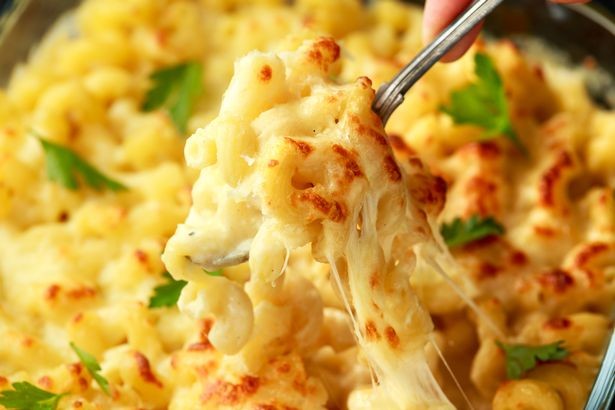 Receitas rápidas, técnicas simples e refeições que cabem na vida universitária