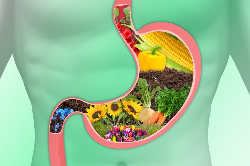Votre microbiome réclame de la terre et des câlins — et dit non au désinfectant: le remède gratuit pour le réensemencer
