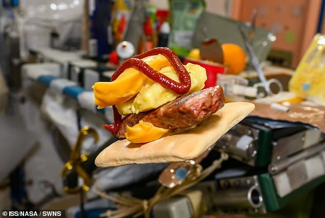 Sushi en órbita: la foto de NASA que provoca risas y rechazo por parecer comida de prisión de lujo