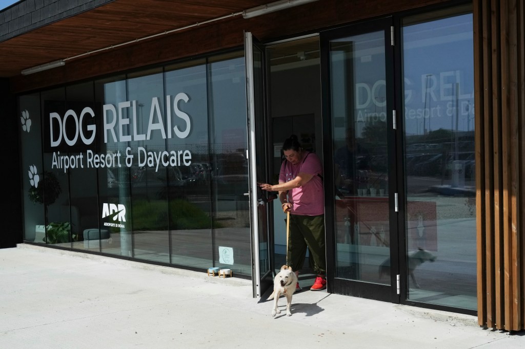Récupération au terminal et expérience immersive pour les chiens et leurs maîtres