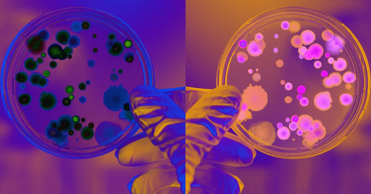 Ce que les scientifiques veulent empêcher: des recherches sur une vie miroir qui pourrait détruire toute vie sur Terre