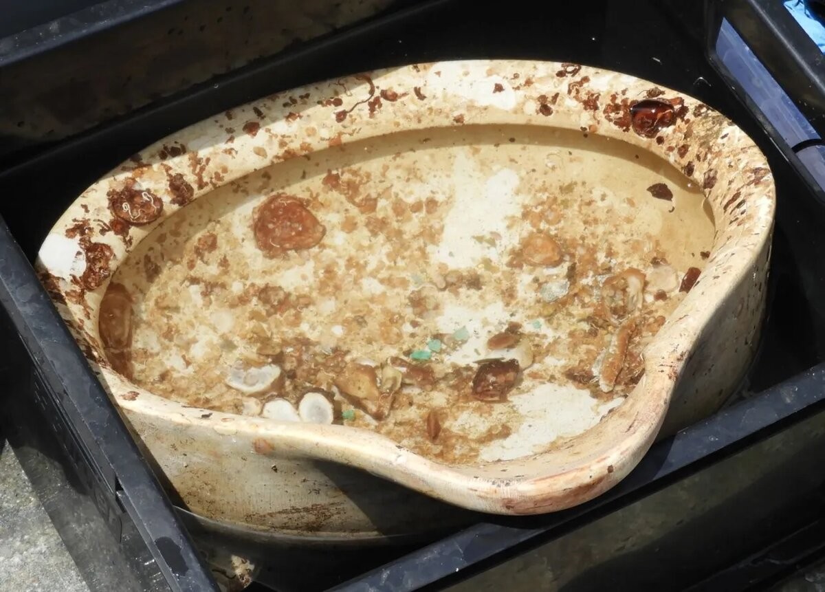 战争的命运：从豪华游轮到医院舰