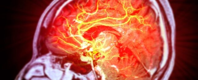 Supervivencia de las células y su diferenciación en neuronas funcionales