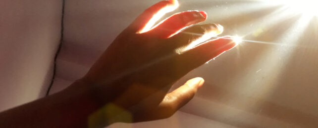 We Glow While Alive: A Visible Light Emitted by Living Cells Vanishes at Death