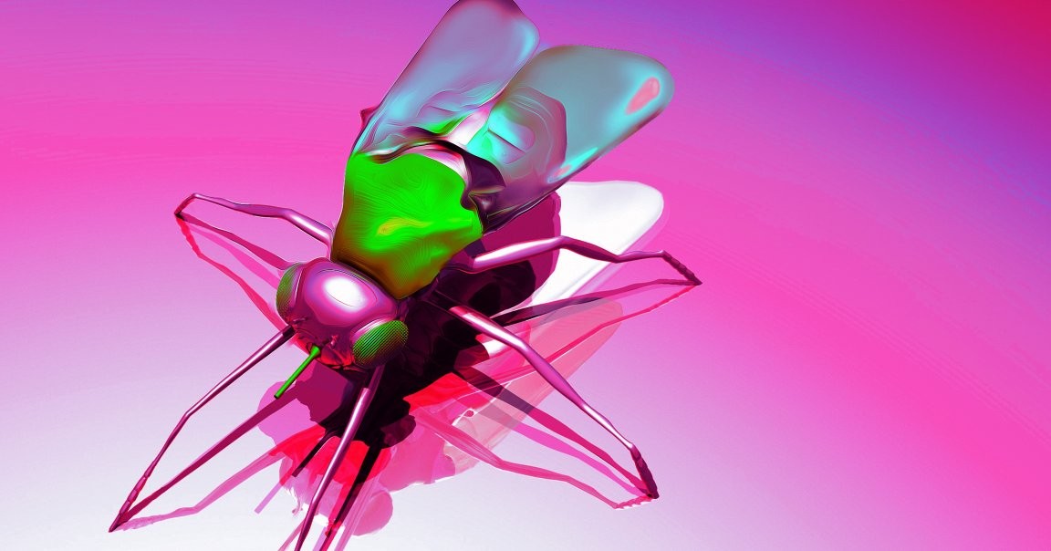 The Next War Is Tiny: Insect-Sized Spy Robots Are Landing in DARPA Labs