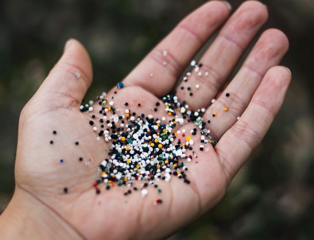 Mikroplastik erreicht das Knochenmark: Eine versteckte Gefahr in unseren Knochen