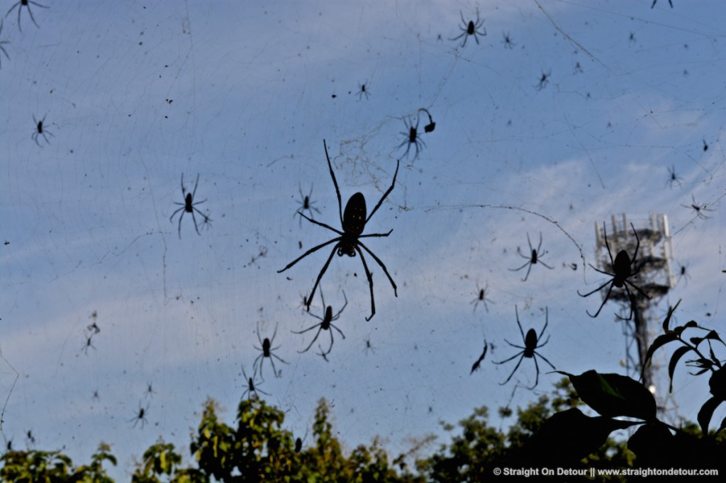 Exemples dans le monde: quand la pluie se fait surprenante