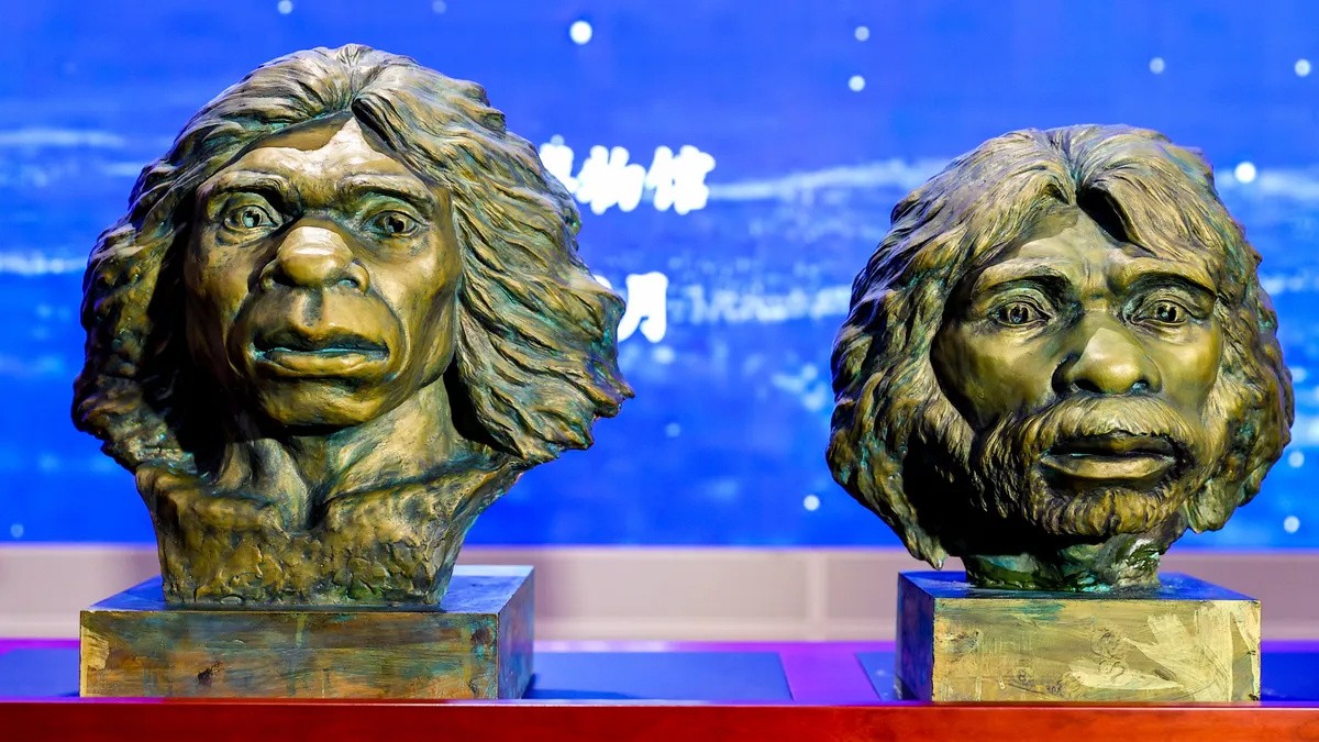 云山二号的面貌：大脑容量与前额形态的独特组合