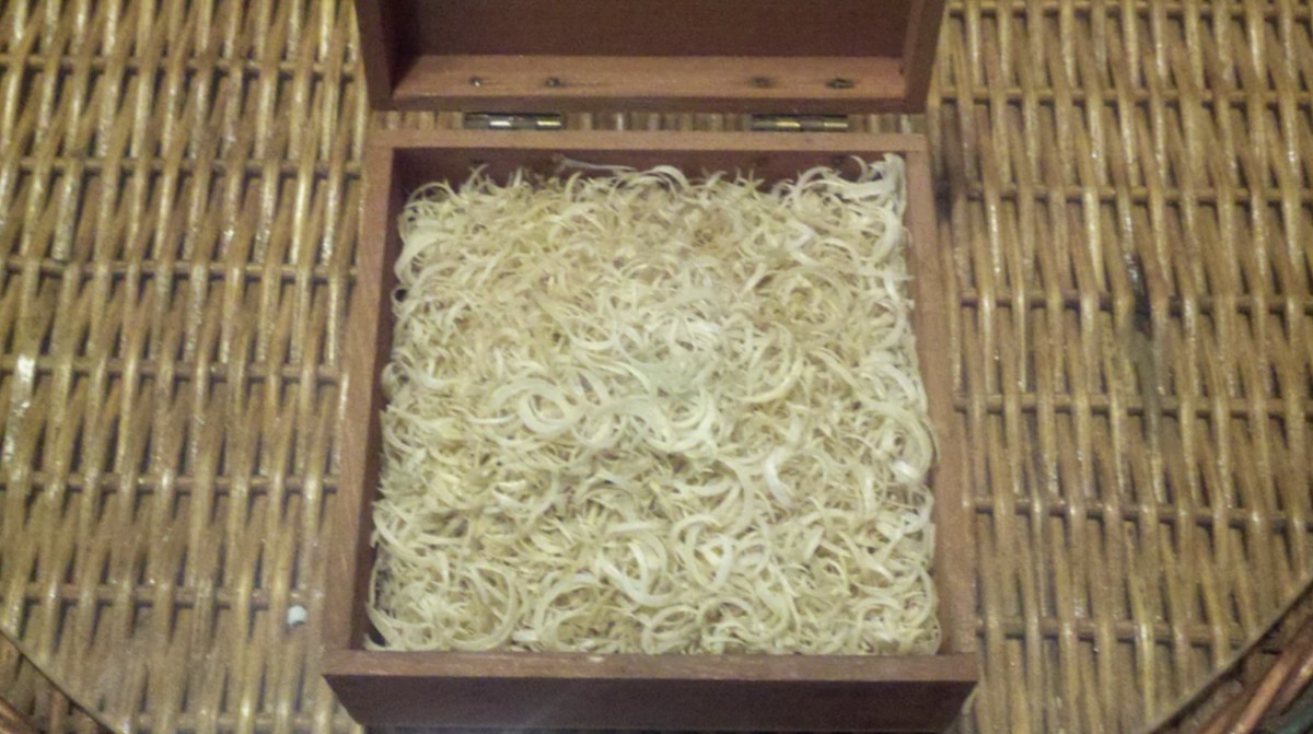 Schockrezept aus alten Heiltraditionen: Menschliche Fingernägel als Entgiftungsmittel – China kauft Hunderte Kilogramm pro Jahr