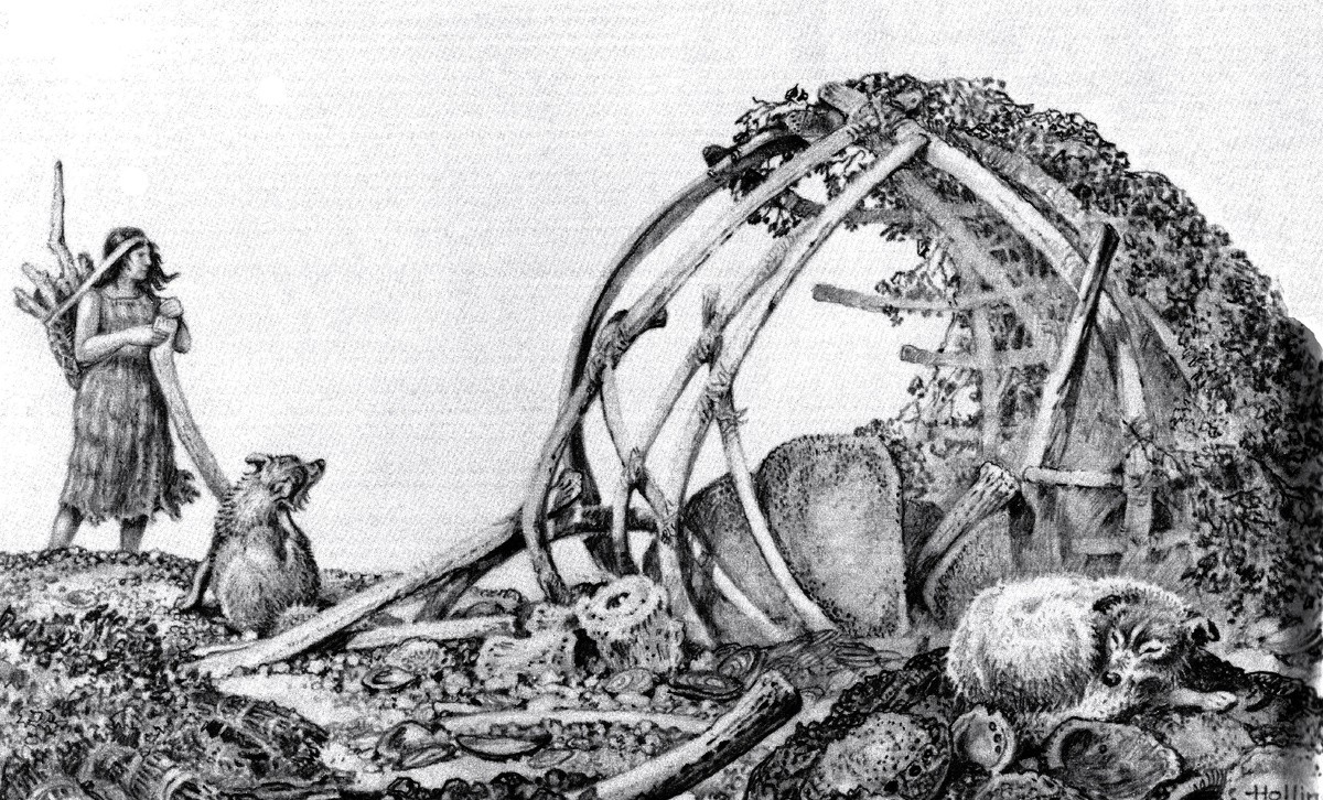 Vie quotidienne et savoir-faire: une ingénierie de survie sur une île oubliée