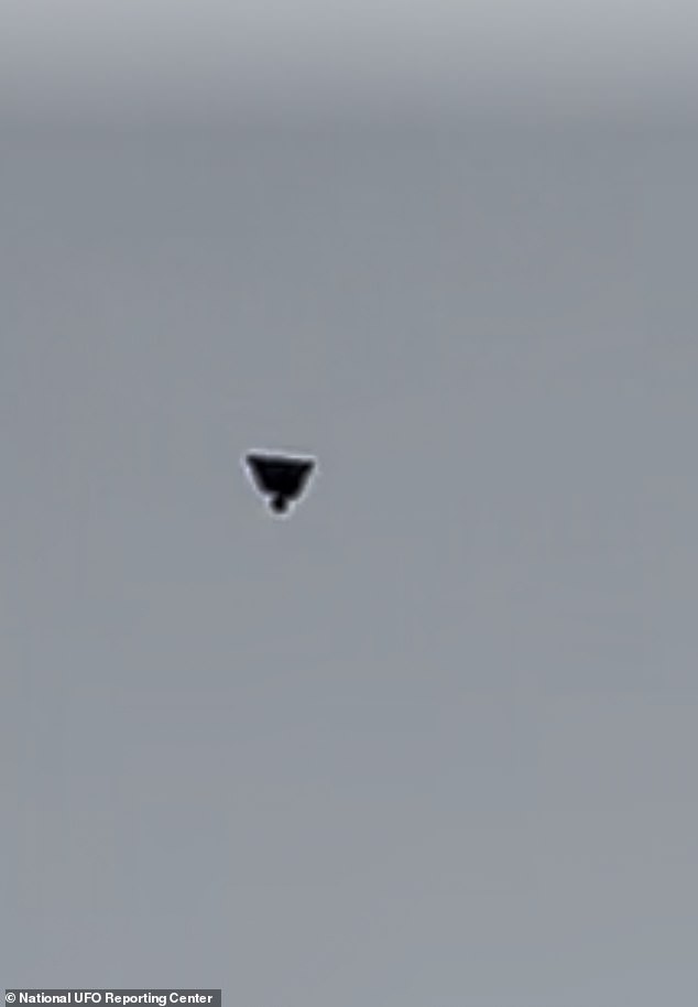 What Happened: The September 8 Trenton Sighting