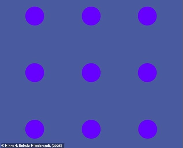 Blaue oder Lila? Die neun-Punkte-Illusion, die das Netz spaltet – Reddit reagiert mit Tausenden Upvotes, Hunderten Kommentaren