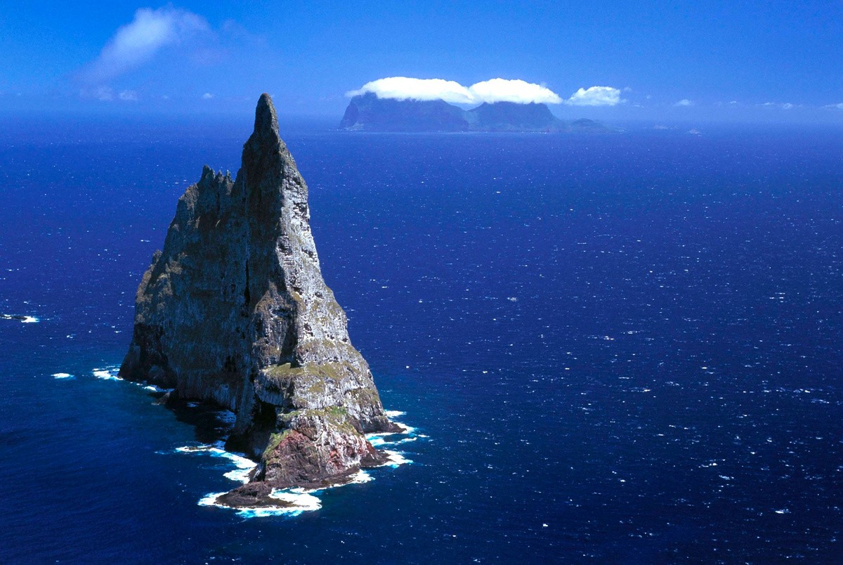 O segredo vivo: Dryococelus australis (lagosta-arborícola de Lord Howe)