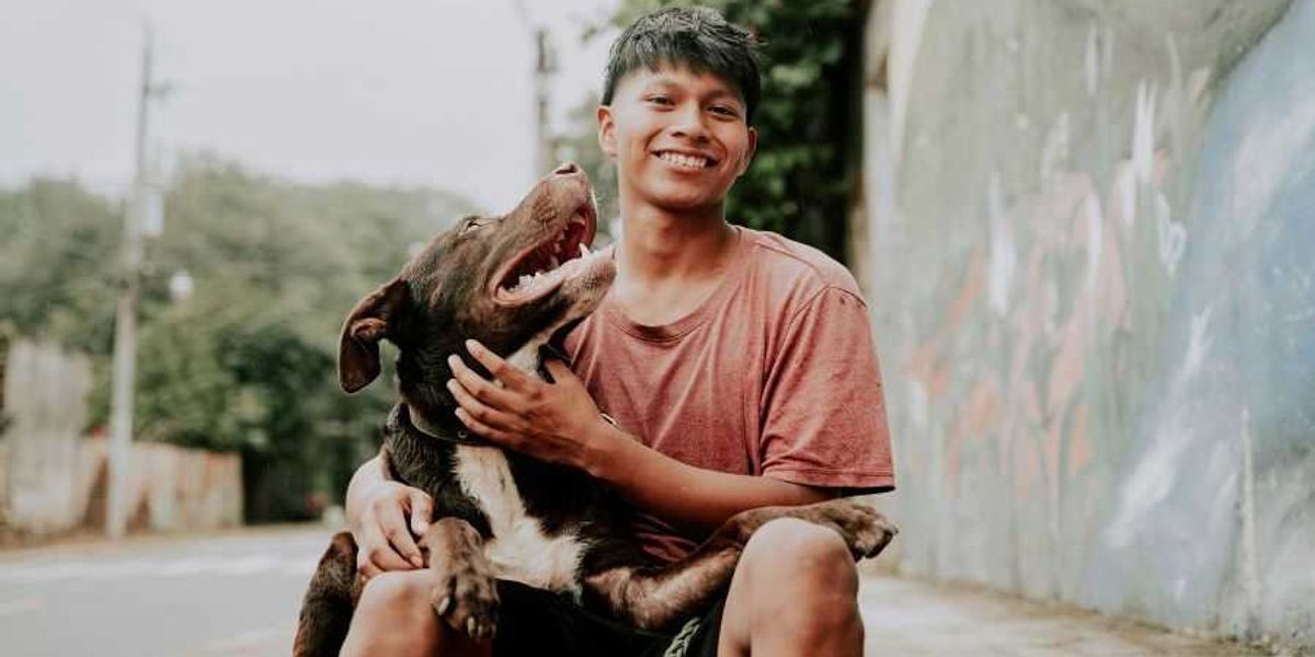 Your Dog’s Favorite Person Isn’t Always the One You Live With—and The Reason Will Surprise You