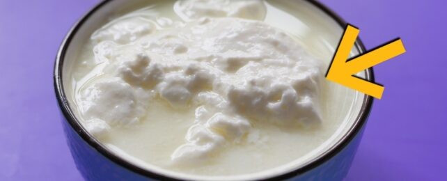 A 117-Year-Old Woman’s Gut Holds the Secret to Longevity