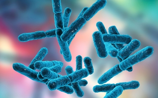 A Youthful Microbiome in an Old Body