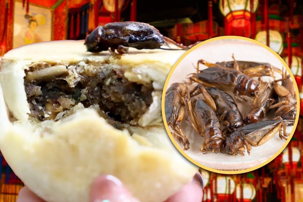 中秋月饼竟是蟋蟀填充？昆虫馅料在中国引发震惊与好奇