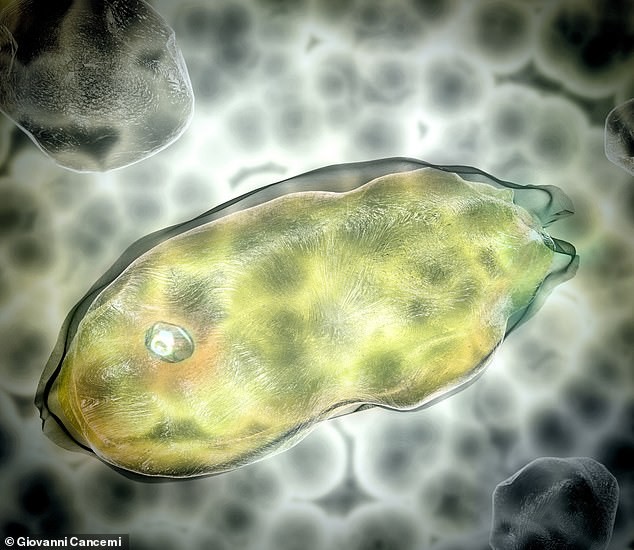 Réveil après 40 000 ans : des microbes emprisonnés dans le permafrost pourraient déclencher la prochaine pandémie