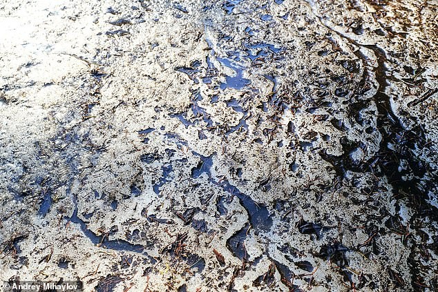 Riscos e descobertas: aquecimento, gases e a possibilidade de pandemias
